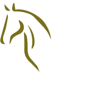 Liesbet Nijboer