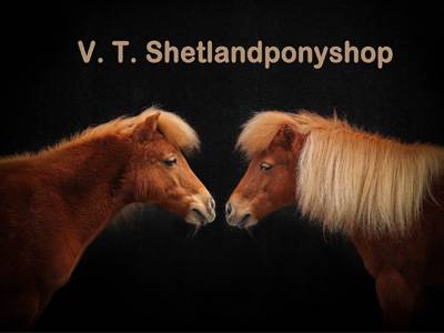 VT Shetlandponyshop