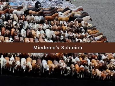 Miedema's Schleich